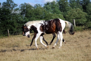 <b>H&eacute;lios, 2 ans, ao&ucirc;t 2019</b>                                                           