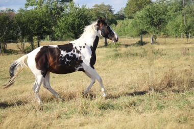 <b>H&eacute;lios, 2 ans, ao&ucirc;t 2019</b>                                                             