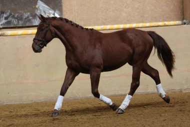 Bentley &agrave;  2 ans