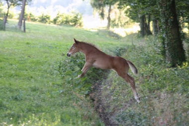 D&egrave;ja sur le cross !!!